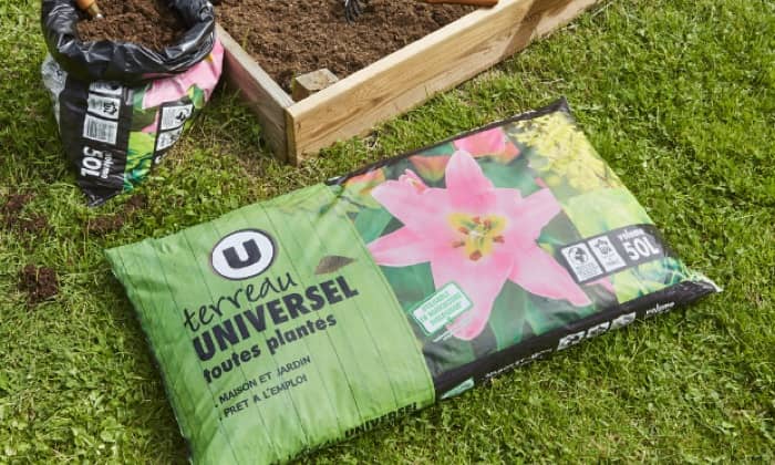 Rayon Jardin, plein air