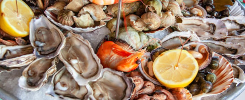 coquillages