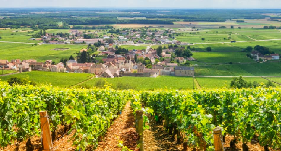 Les vignobles français Les vignobles français