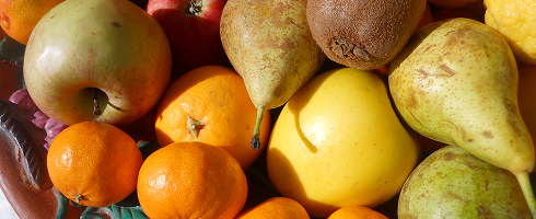 fruits saison