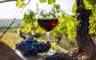Vins du Beaujolais