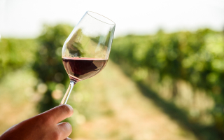 Vins de Bourgogne