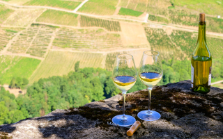 Vins du Jura