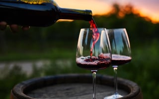 vins du Languedoc