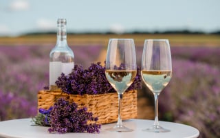 Vins de Provence