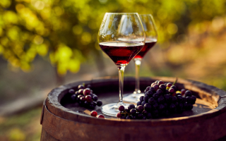 Vins du Rhône