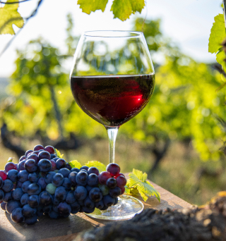 verre de vin rouge et grappe