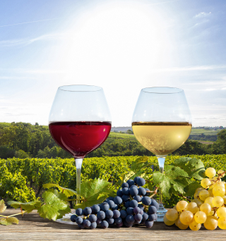 bouteille et verres de vin
