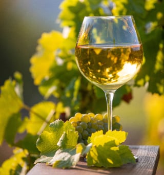 verre de vin blanc alsace