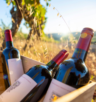 appellations bordelaises