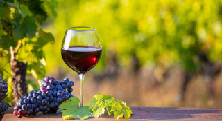 Vin rouge