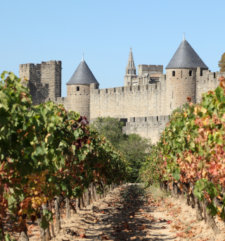 château et histoire Languedoc