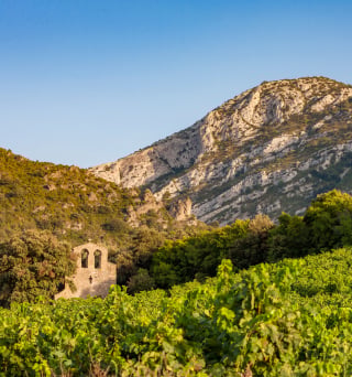 paysage Languedoc Roussillon