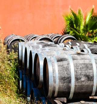 tonneaux vins Languedoc