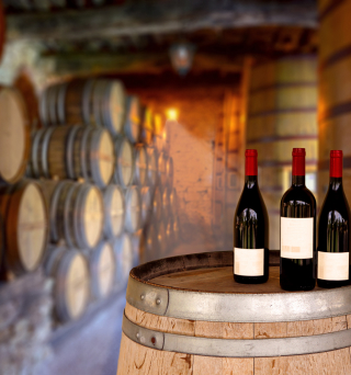 des bouteilles de vins