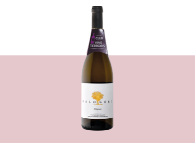 vin Kalogeri