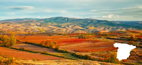 Les vins d’Espagne