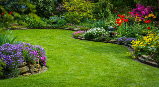 Offres jardin