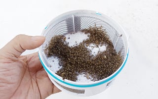 Pièges à moustiques