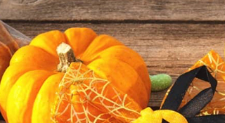 citrouille Halloween