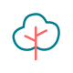 Préservation forêts