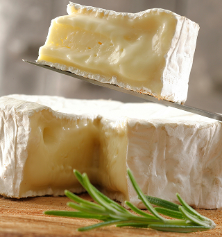 Le camembert de Normandie