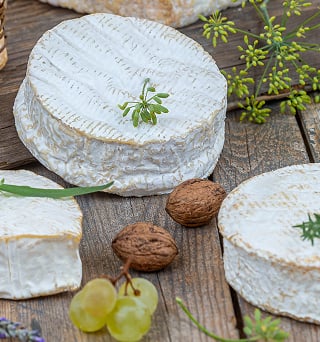 Les fromages à pâte molle