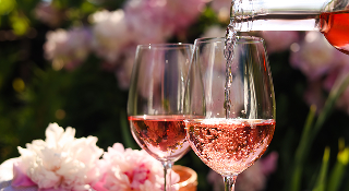 vins rosé