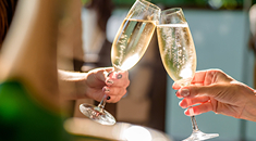 Tout savoir sur les Champagnes