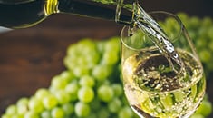Tout savoir sur les vins blancs