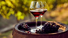 Tout savoir sur les vins rouges