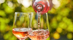 Tout savoir sur les vins rosés