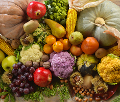 fruits et légumes d'hiver