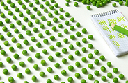 bio
