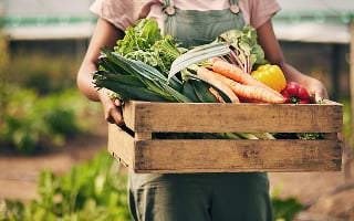 Privilégier des produits frais et locaux