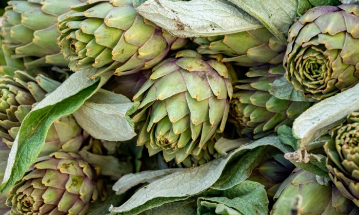 L&eacute;gumes de septembre