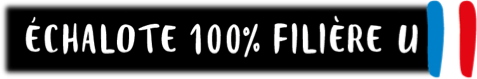 Ail 100% Filli&egrave;re U