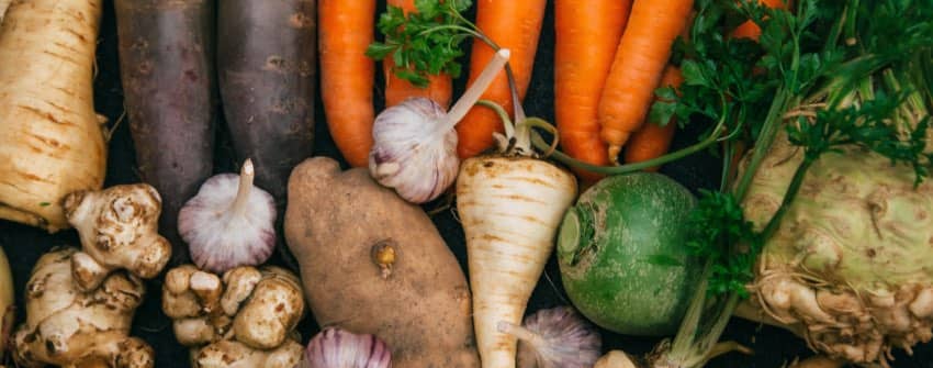 l&eacute;gumes anciens