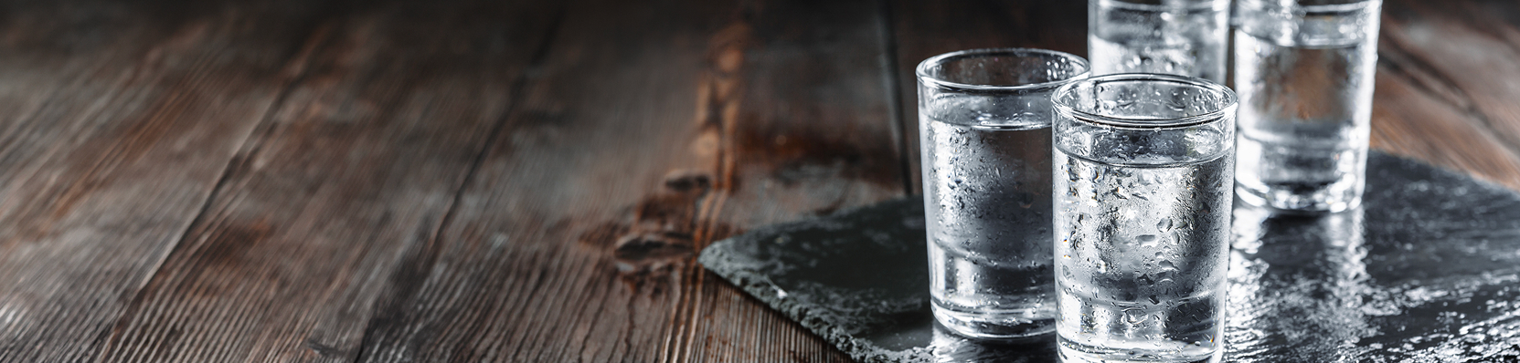 Guide vodka