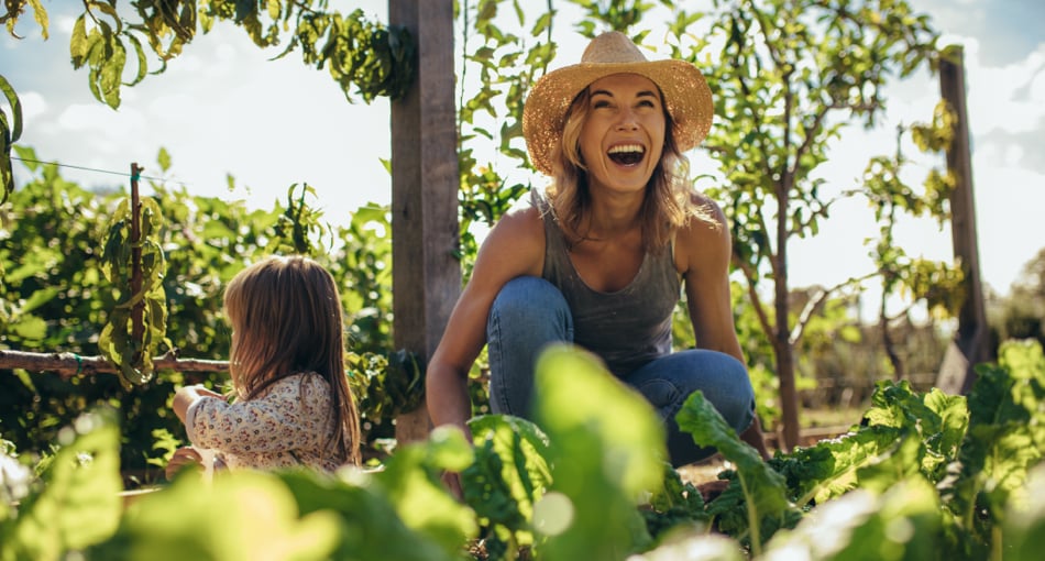 Légumes verts de saison