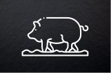 Cochon