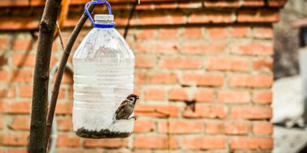 Mangeoire &agrave; oiseaux