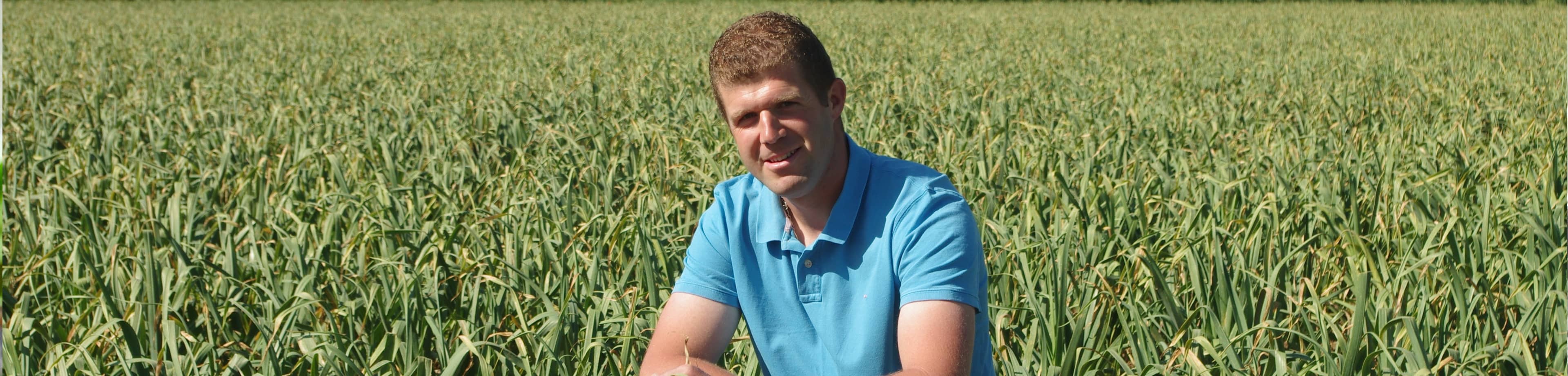 Producteur d'ail Fili&egrave;re U.