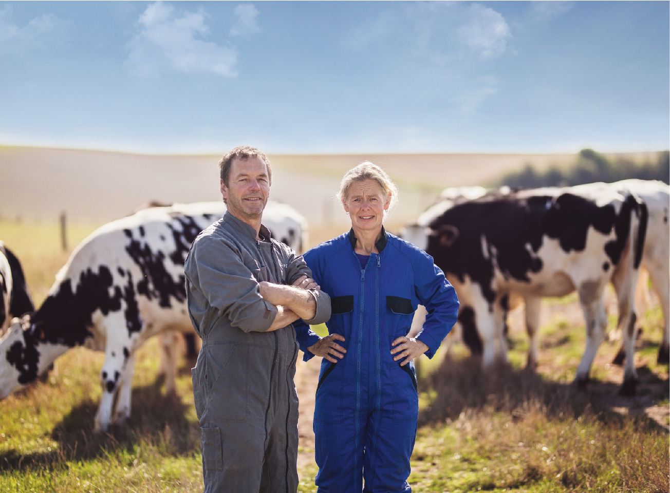 Eleveurs de vaches Eleveurs de vaches