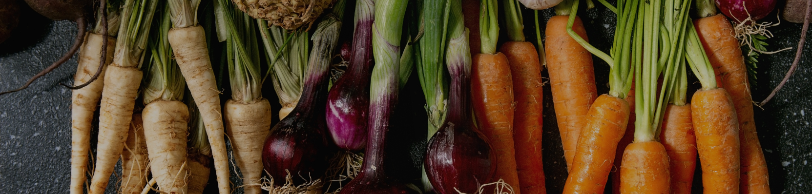 Fruits et l&eacute;gumes hiver