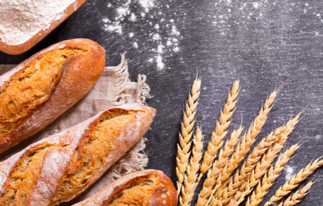 Baguettes traditionnelle et &eacute;pis de bl&eacute;