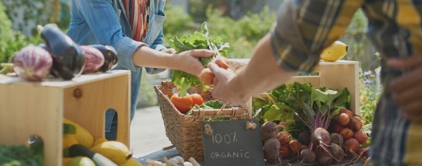 Manger local et de saison