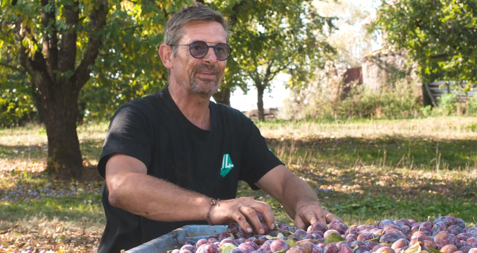 Stéphane Berna, producteur de pruneaux
