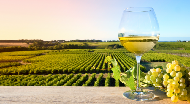 Vins de Bourgogne