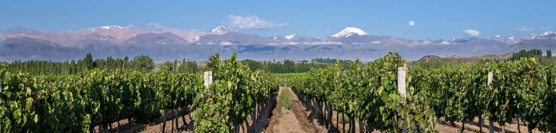 Vins du monde